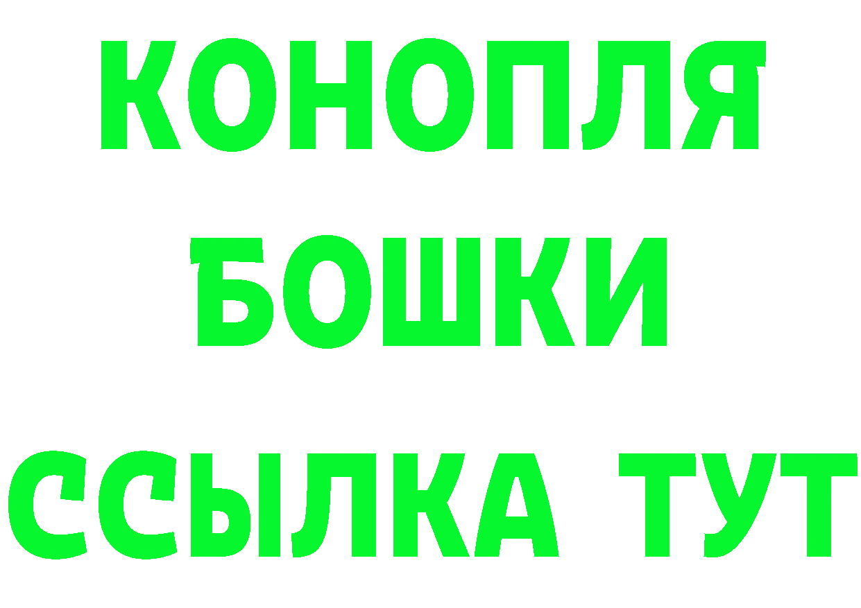 Каннабис сатива ТОР площадка MEGA Ладушкин