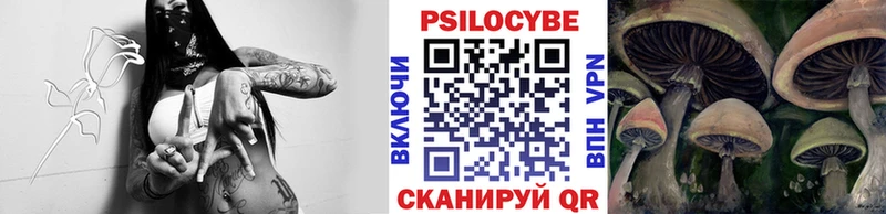 Псилоцибиновые грибы мухоморы  где продают наркотики  Ладушкин 