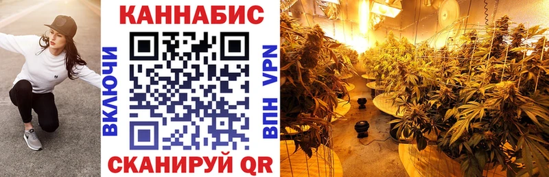 kraken ONION Ладушкин Бошки марихуана план